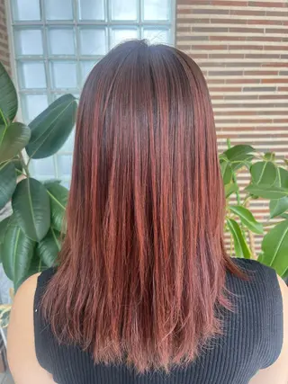 セミロング 🎀Daisy🎀 はやしれいのヘアスタイル