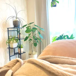 アロマ×ほぐしで ひと息サロン/まえだのエステ・リラクイメージ