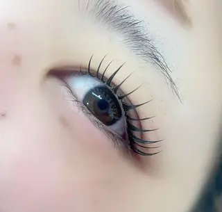 マツエク・マツパ mellow:所属・mellow: eyelash熊取のマツエク・マツパデザイン