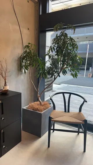 ネイル ✳︎new open ケア/パラジェルのネイルデザイン