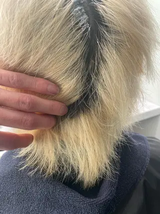 カラー 🐺ウルフ/レイヤー カット/高嶋湧大のヘアスタイル