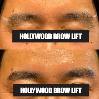 アイブロウ LUZ所属・LUZ ルースの眉毛・アイブロウイメージ