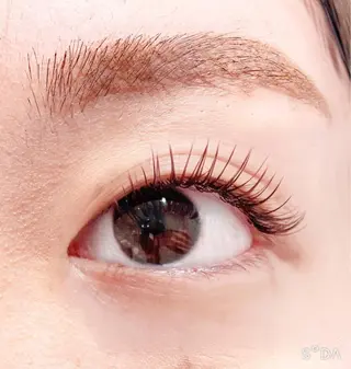 マツエク・マツパ Heileebrow 吉田のマツエク・マツパデザイン