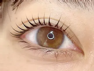 マツエク・マツパ eyelash CLAYの眉毛・アイブロウイメージ