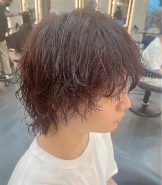 ショート パーマ メンズ メンズパーマ特化/ メッシュ/薫/店長のヘアスタイル