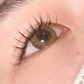 マツエク・マツパ ANCIL かとうのマツエク・マツパデザイン