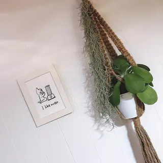 マツエク・マツパ なかむら 🪡のマツエク・マツパデザイン