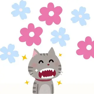 アイブロウ ホワイトニングサロン nico西葛西店のその他イメージ