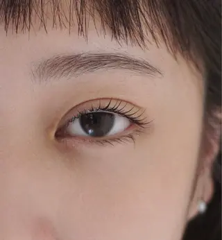 マツエク・マツパ WAXYYY. TOKYO青山店の眉毛・アイブロウイメージ