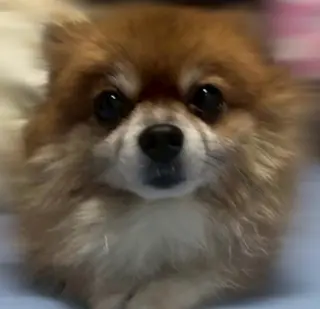 松本｜似合わせ眉 ×まつげパーマ×ヘアの眉毛・アイブロウイメージ