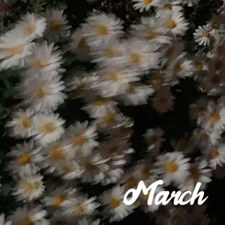 ネイル 木村 夏生 /アート･個性派👾のネイルデザイン