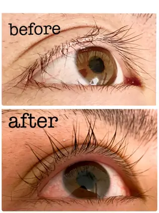 マツエク・マツパ ehl:fa Beautyのマツエク・マツパデザイン