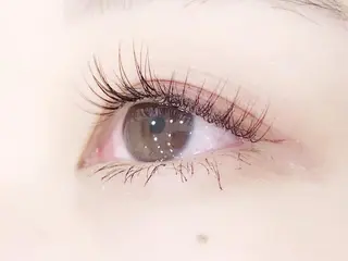 マツエク・マツパ eyelash "Koa"🕊🤎のマツエク・マツパデザイン
