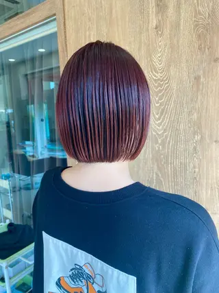 ショート 小坂 麻綾のヘアスタイル