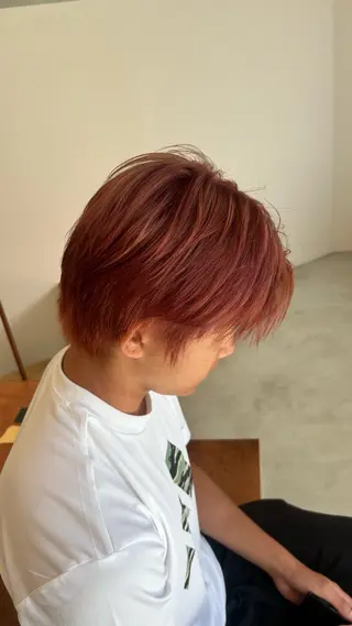 ショート カラー かえで🧶 ボブ/ハイトーンのヘアスタイル