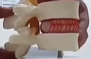 鍼灸整体専門サロン 島袋のエステ・リラクイメージ