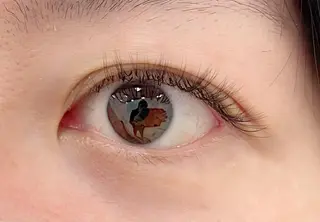 マツエク・マツパ CILGRACE 天野のマツエク・マツパデザイン