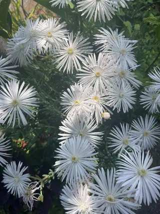 肌管理🌿毛穴改善 POLA堺東のエステ・リラクイメージ