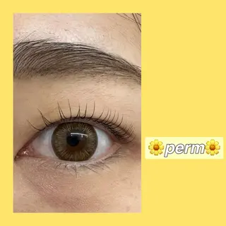 マツエク・マツパ 柏倉 茉依のマツエク・マツパデザイン