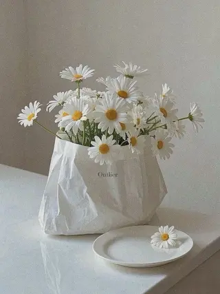 SSINSTUDIO 野口のマツエク・マツパデザイン