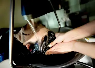 Suimmie 洲上のヘアスタイル