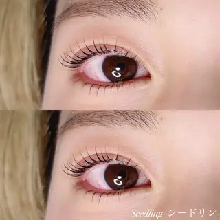 マツエク・マツパ シードリン 府内店 小野梨央のマツエク・マツパデザイン