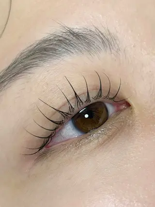 マツエク・マツパ 垢抜け眉WAX専門 ちゅるんまつげ|鎌倉の眉毛・アイブロウイメージ