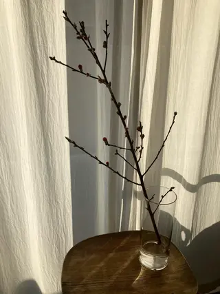 毛穴ケア・肌質改善 徳川のエステ・リラクイメージ