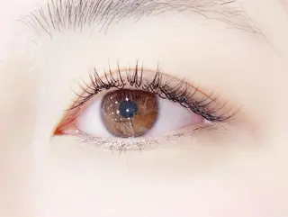 マツエク・マツパ eyelash "Koa"🕊🤎のマツエク・マツパデザイン