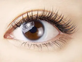 マツエク・マツパ 服部 祐美子のマツエク・マツパデザイン