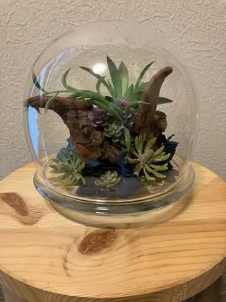 Ayuha アユハのエステ・リラクイメージ