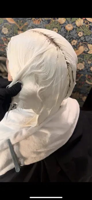 ショート カラー ハイトーン /レイヤー/ふみやのヘアスタイル