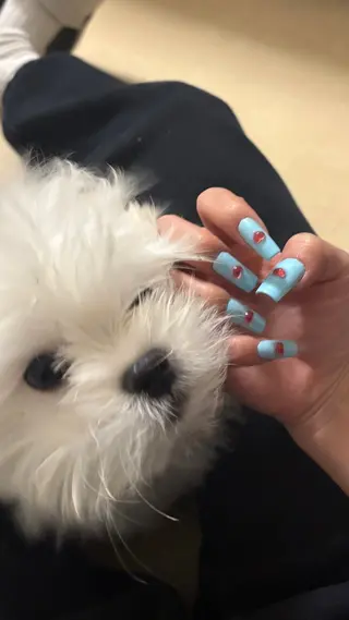 ネイル 33nail✴️栄 スミレ❇️Gel-xのネイルデザイン
