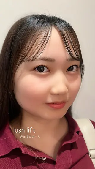 マツエク・マツパ 垢抜け眉WAX専門 ちゅるんまつげ|鎌倉の眉毛・アイブロウイメージ