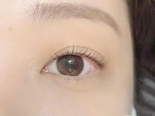 マツエク・マツパ サラバイ ニコットの眉毛・アイブロウイメージ