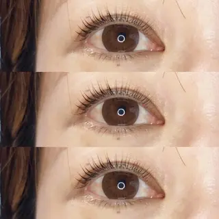 マツエク・マツパ 《eyelash ｉｉｔｅ》森のマツエク・マツパデザイン