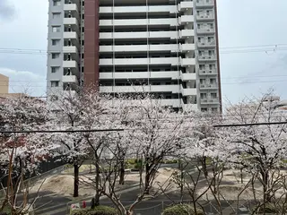 紙屋 隼人のヘアスタイル