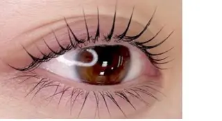 マツエク・マツパ eyelash 大正のマツエク・マツパデザイン