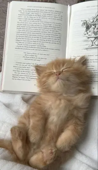 MARINO成田店 misakiのマツエク・マツパデザイン