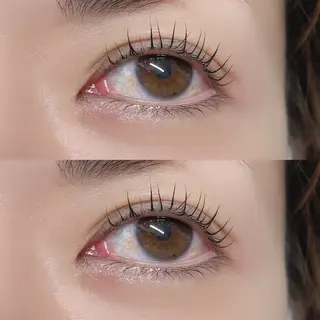 マツエク・マツパ 30分まつ毛パーマ Swallowのマツエク・マツパデザイン