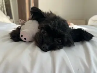 eye salon U-ga/中目黒のその他イメージ