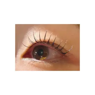 マツエク・マツパ THREE所属・THREE🌿🪞 ririのその他イメージ