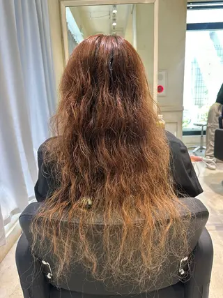 セミロング 仲尾 翔也のヘアスタイル