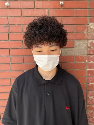 パーマ メンズ スパイキーパーマ 柏NO1 藤本葉のヘアスタイル