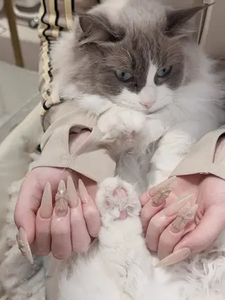 ネイル Sun Nail 池袋のエステ・リラクイメージ