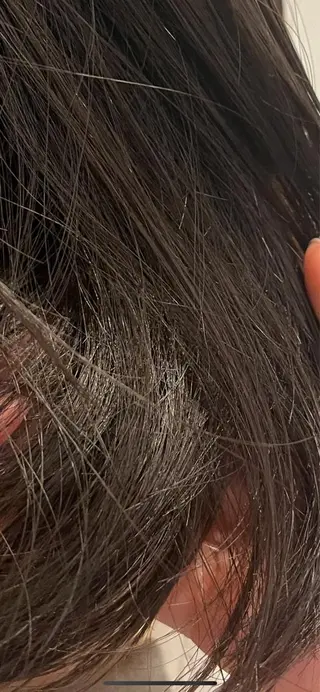 ミディアム カラー HOM chisaのヘアスタイル