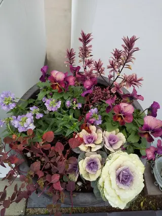 エステ🌷🌷🌷 メナードのエステ・リラクイメージ