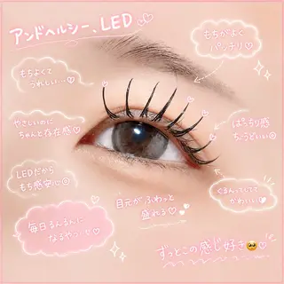 マツエク・マツパ 🎀LEDパリエクN o1韓ドルEYE🎀のマツエク・マツパデザイン