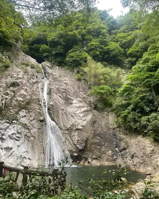ミディアム カラー パーマ ヘアアレンジ メンズ 🩷Eny terrace🩷のヘアスタイル