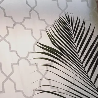 Maile leaf 【マイレリーフ】のマツエク・マツパデザイン